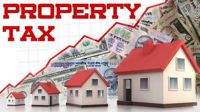 How can you find information on the Property Tax Liability?