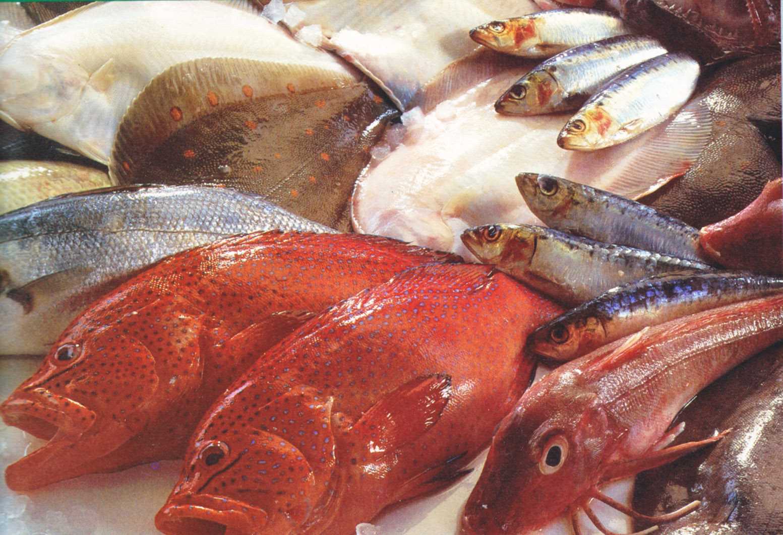 Buy Your Seafood Safely!