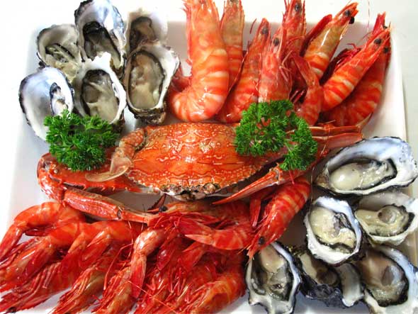 Seafood Contamination Risks…How can it affect YOU?